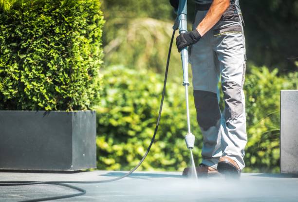 Best Patio and Deck Pressure Washing  in Walls, MS